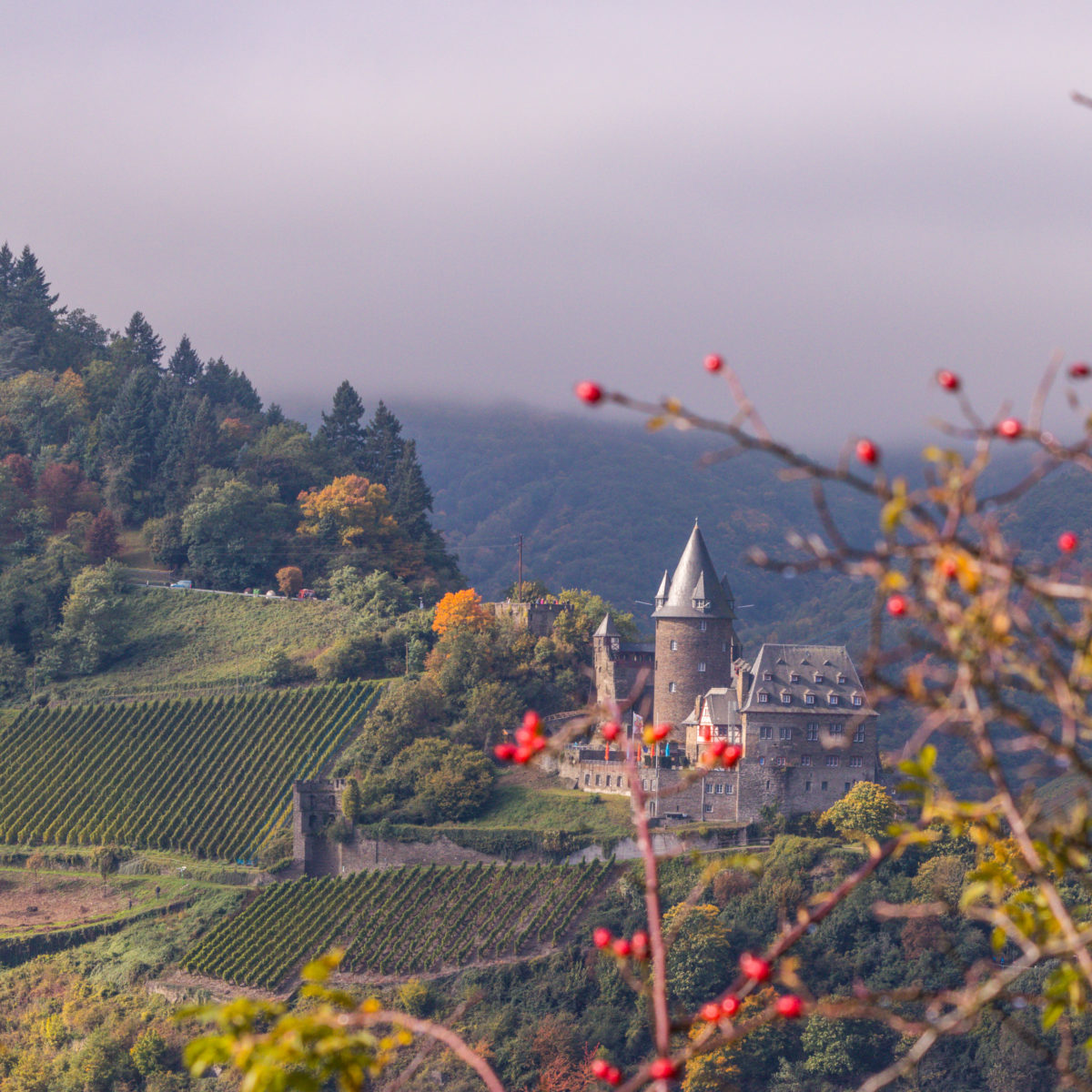 The Stahleck Castle looks like from a fairy tale! Shot from the opposite side of the Rhine Valley (Rheingau)