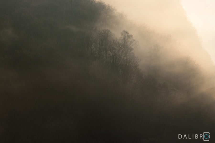  I took this image at the Saar River Loop, which is an iconic location in Germany. You probably noticed that there is no river to be seen. It’s because my story was not about the beautiful river bend vista. It was about waking up at 4 a.m., freezing for two hours outside and suddenly being bathing in the gold of this sunrise. It was about a kiss of light and warmth after a really cold night. 