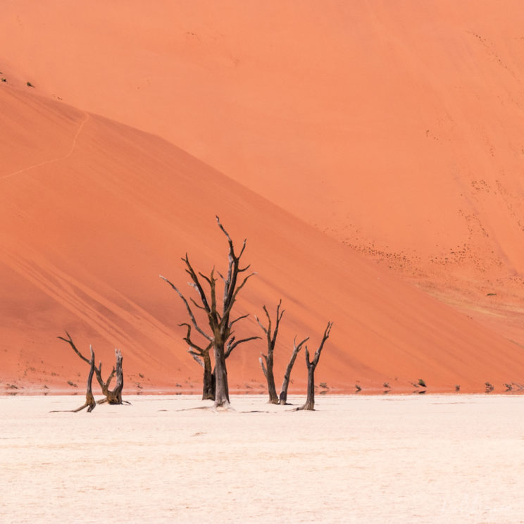 This image of the Deadvlei trees is in fact a crop of a wider shot. Bring a long lens!