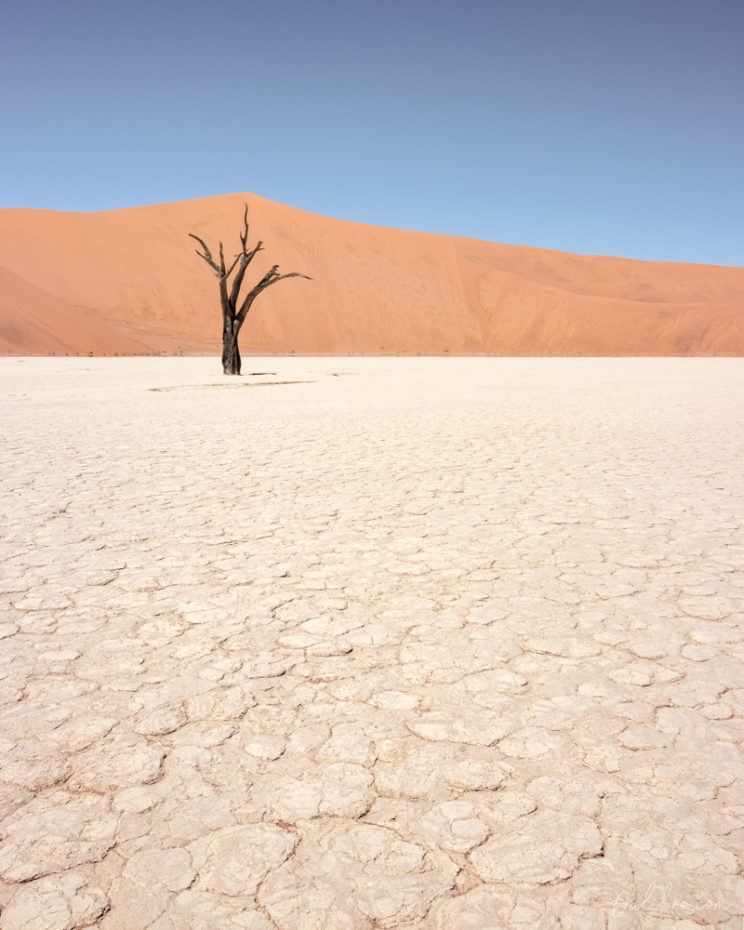 Deadvlei is full of compositions. No easy job, though!