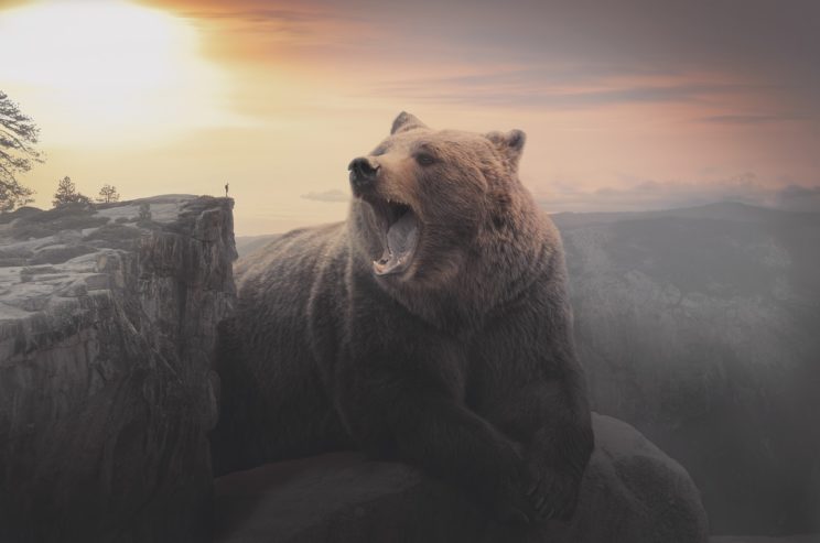 Don't provoke the big bear. Are massive share accounts the real winners of the Instagram game?