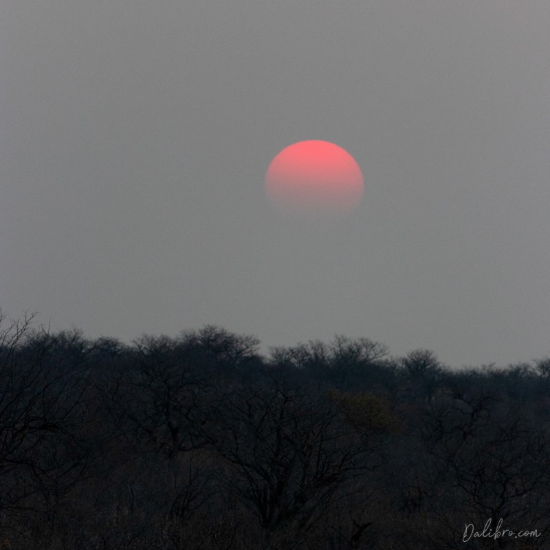 Sunset or rather sundisappearance in Etosha, Namibia