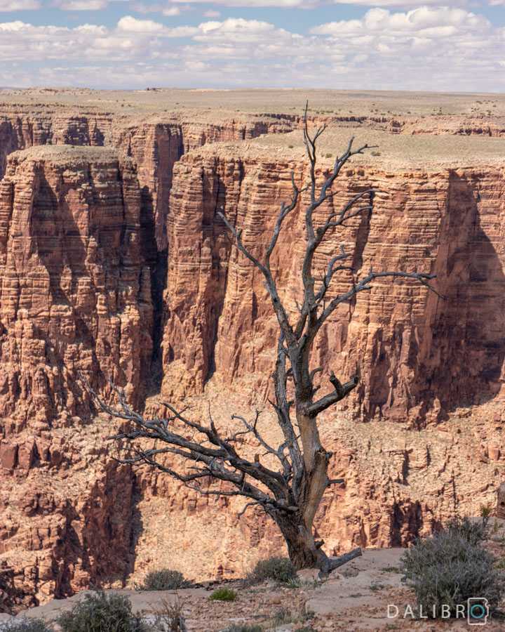 Top tip for a stop on your way to Page, AZ? The Little Colorado Gorge Overlook!