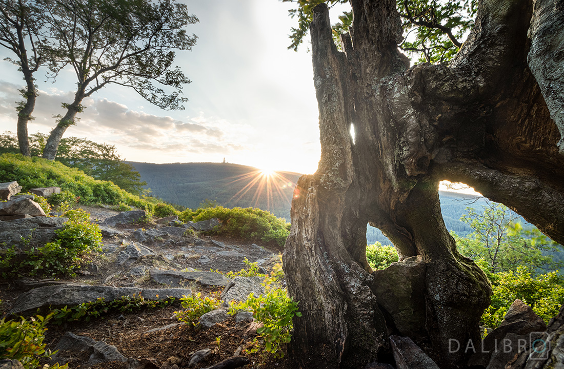 Exposure blending of 3 images, each of different exposure was necessary here. Histogram was a big help on location!