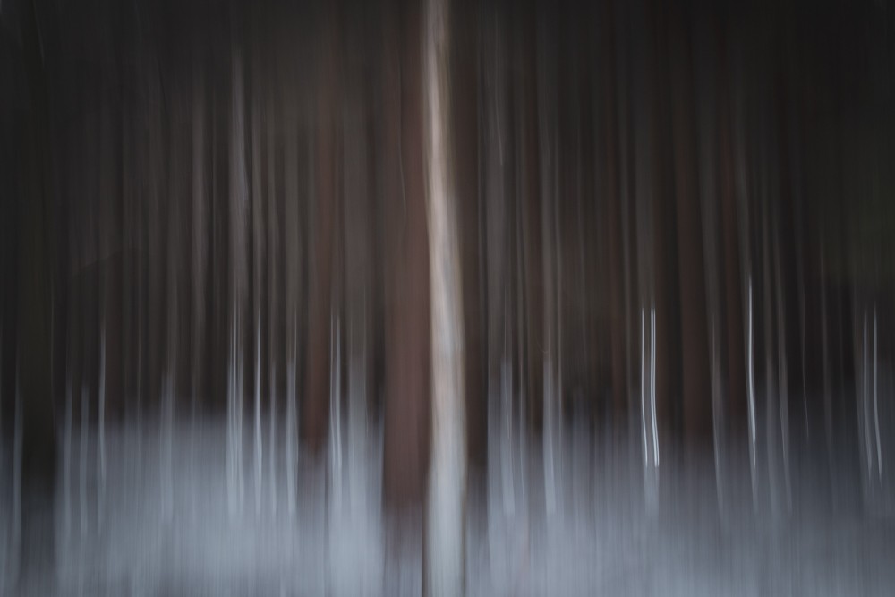 I remember this winter day when exploring a woodland location just didn't go as I imagined. I'm glad I started experimenting because for some reason, I kind of like this shot of tree trunks in the snow.