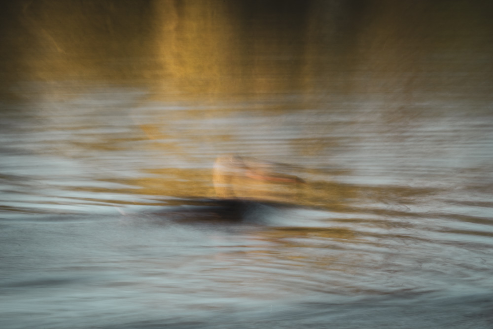 Duck: Another combination of longer shutter speed, a moving subject and light camera wiggle/panning. Add the autumnal colours and you'll get a very happy me. I like very much the impressionist almost painting-like quality here!  Canon 80D