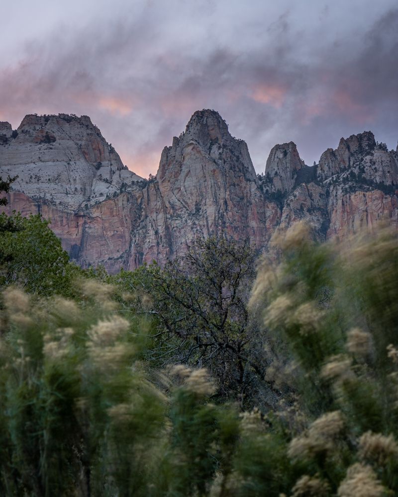 Windy Zion: Water is probably the number one subject for long exposures - waterfalls, rivers, coastlines. Long exposures of moving water lead to strong simplification of a scene. The longer the shutter speed, the dreamier the result. This is an example of taking a long exposure of something that is not water. In this case, I wanted to capture my impression of how windy this day in Zion was.