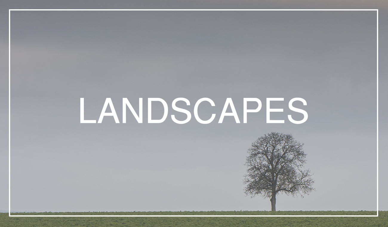 Searching Landscapes in your backyards