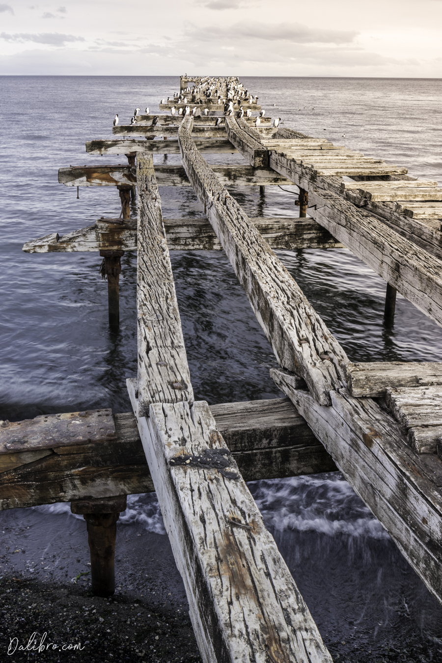 The old pier in Punta Arenas - one of the best photo spots in the city