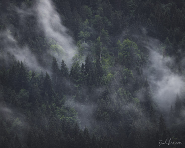 Mist rolling through a deep forest on the opposite side of the valley at Geroldsee