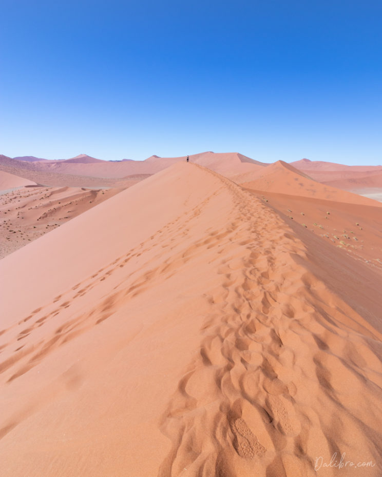 Up on the Dune 45. 'Big'. That's the word you're looking for.