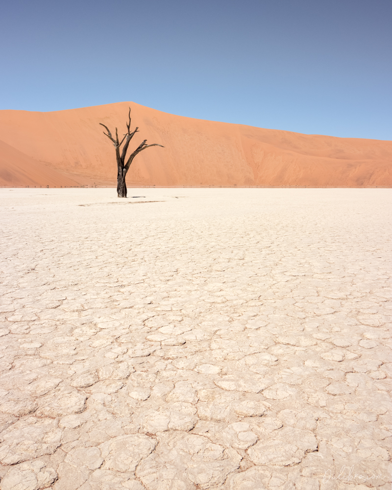 Deadvlei is full of compositions. No easy job, though!