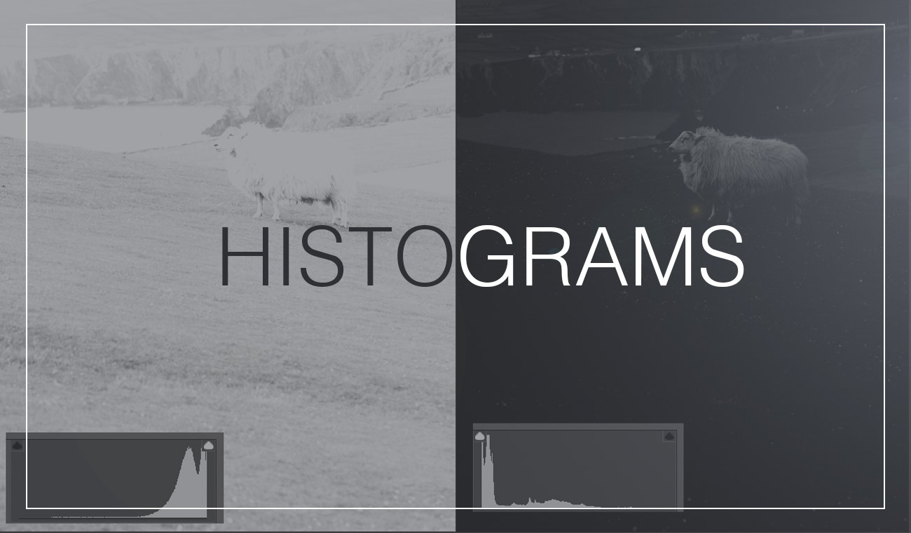 Read more about the article The histogram in photography simply explained